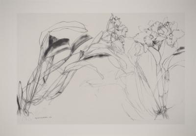 Elizabeth BLACKADDER : Orchidée, Héliogravure signée 2
