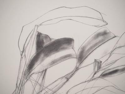 Elizabeth BLACKADDER : Orchidée, Héliogravure signée 2