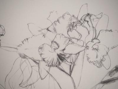 Elizabeth BLACKADDER : Orchidée, Héliogravure signée 2