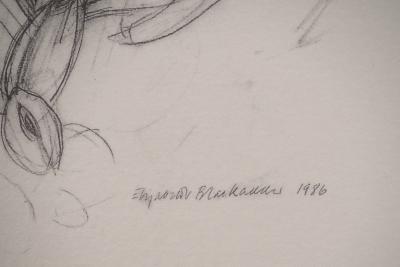 Elizabeth BLACKADDER : Orchidée, Héliogravure signée 2