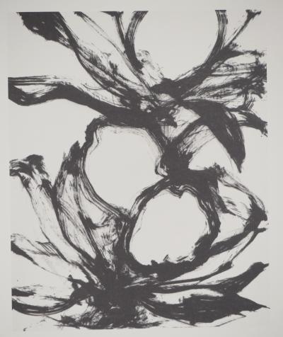 Yves OPPENHEIM : Fruit, Héliogravure 2