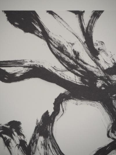 Yves OPPENHEIM : Fruit, Héliogravure 2