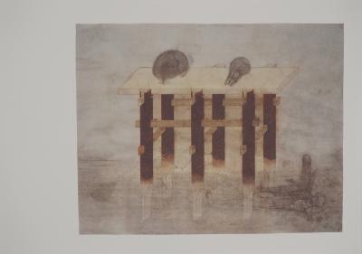 Walter PICHLER : Vanité, Installation de crânes, Héliogravure 2