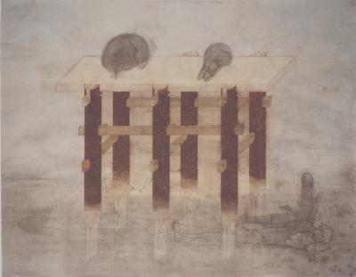Walter PICHLER : Vanité, Installation de crânes, Héliogravure 2