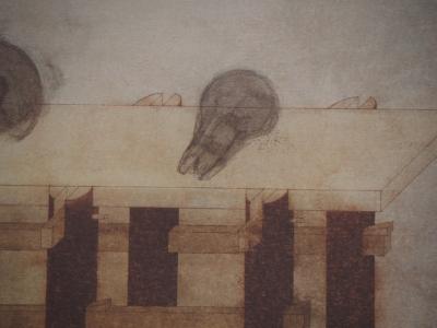 Walter PICHLER : Vanité, Installation de crânes, Héliogravure 2