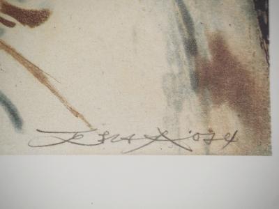 ZAO Wou-Ki : Paysage abstrait, Héliogravure signée 2