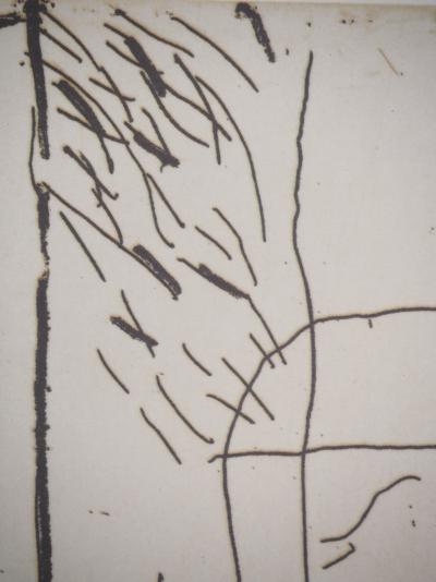 Alberto RAFOLS-CASAMADA : Jardin, Héliogravure 2