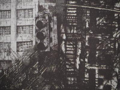 Lorenzo VESPIGNANI : New-York, Bronx-Prospect Avenue, Héliogravure 2