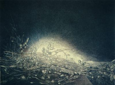 Jean-Pierre VELLY : L’ombre, la lumière, Héliogravure 2