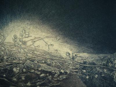 Jean-Pierre VELLY : L’ombre, la lumière, Héliogravure 2