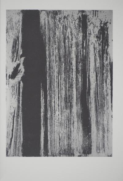 Olivier DEBRE : Signe paysage, Héliogravure 2