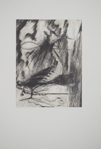 Gérard GAROUSTE : Sabre, Héliogravure 2