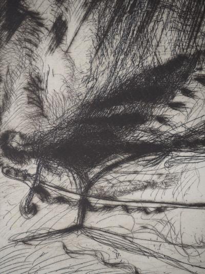 Gérard GAROUSTE : Sabre, Héliogravure 2