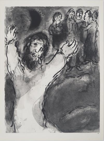 Marc CHAGALL : La Bible, La jeune fille dans le champs, Héliogravure 2