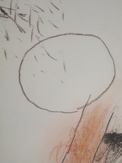 Alberto RAFOLS-CASAMADA : L’étang, Héliogravure signée 2
