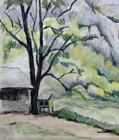 Paul-Emile PISSARRO (1884-1972) - Forêt dans le Calvados - Dessin original signé 2