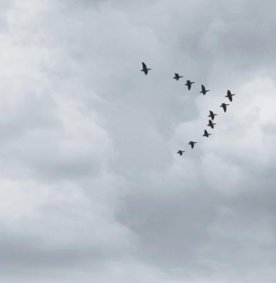 Mr Strange - Dive (VI) - 2024 - Giclée on paper 2