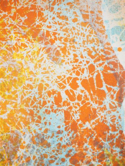 Jacques DUPONT : Nu de dos, Affiche en lithographie originale signée 2