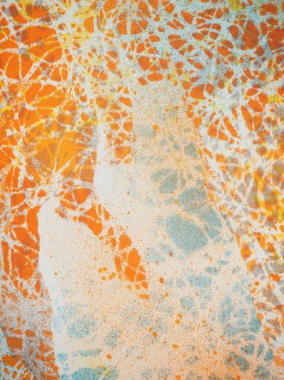 Jacques DUPONT : Nu de dos, Affiche en lithographie originale signée 2