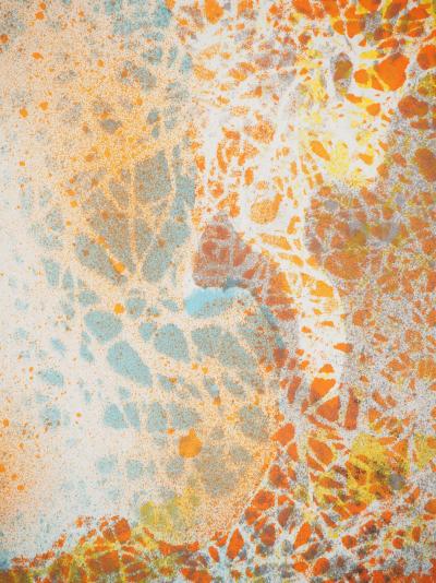 Jacques DUPONT : Nu de dos, Affiche en lithographie originale signée 2