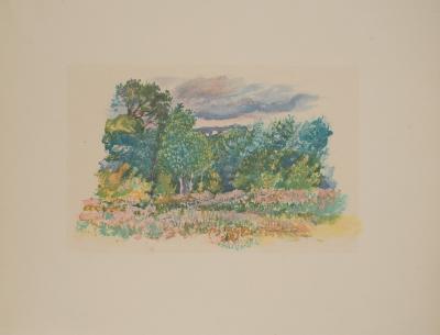 Pierre-Auguste RENOIR : Le champs de fleur, Lithographie 2