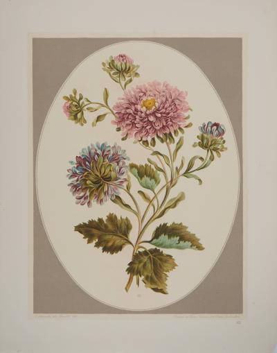 John EDWARDS : Fleurs et Bouquets, Les Chrysanthèmes, Lithographie signée 2