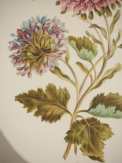 John EDWARDS : Fleurs et Bouquets, Les Chrysanthèmes, Lithographie signée 2