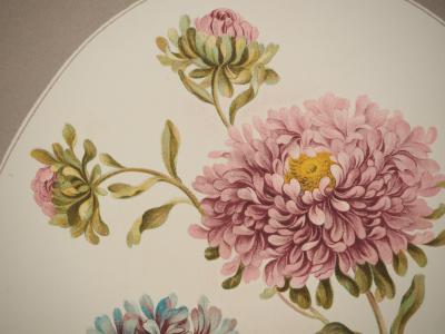 John EDWARDS : Fleurs et Bouquets, Les Chrysanthèmes, Lithographie signée 2
