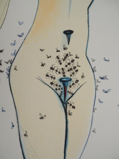 Salvador Dali : Casanova, Femme piquante, Fantasmes et tentations, Gravure originale signée 2