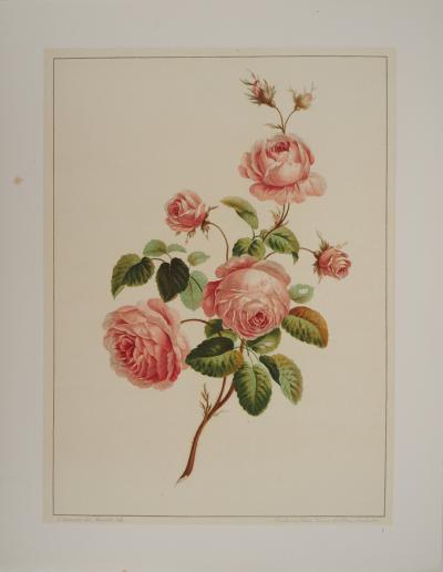 John EDWARDS : Fleurs et Bouquets, Les roses, Lithographie signée 2