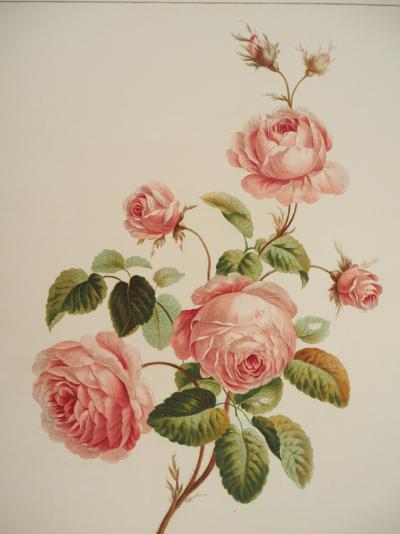 John EDWARDS : Fleurs et Bouquets, Les roses, Lithographie signée 2