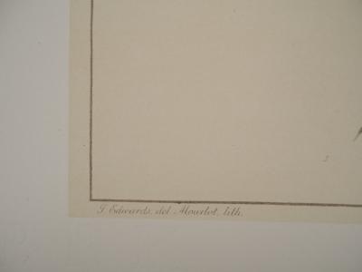 John EDWARDS : Fleurs et Bouquets, Les roses, Lithographie signée 2