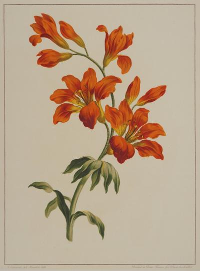 John EDWARDS : Fleurs et Bouquets, les lys rouges , Lithographie signée 2