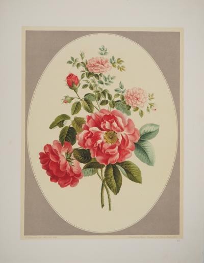 John EDWARDS : Fleurs et Bouquets, La rose de Ronsard, Lithographie signée 2