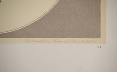 John EDWARDS : Fleurs et Bouquets, La rose de Ronsard, Lithographie signée 2