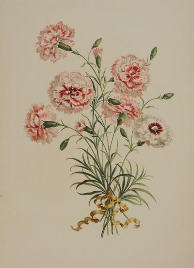 John EDWARDS : Fleurs et Bouquets, Les œillets rouges et blancs, Lithographie signée 2