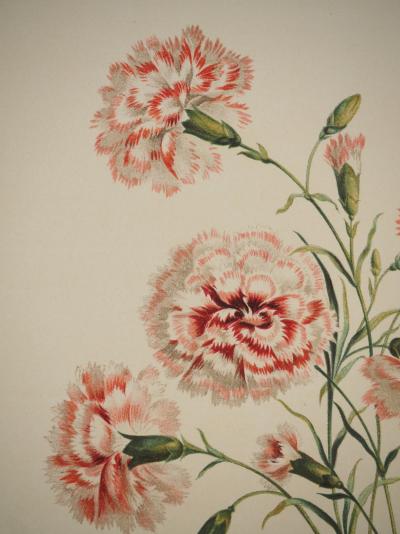John EDWARDS : Fleurs et Bouquets, Les œillets rouges et blancs, Lithographie signée 2