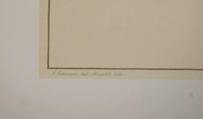 John EDWARDS : Fleurs et Bouquets, Les œillets rouges et blancs, Lithographie signée 2