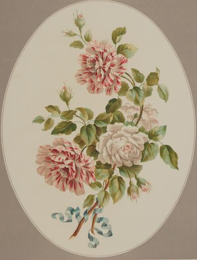 John EDWARDS : Fleurs et Bouquets, Les roses anciennes, Lithographie signée 2