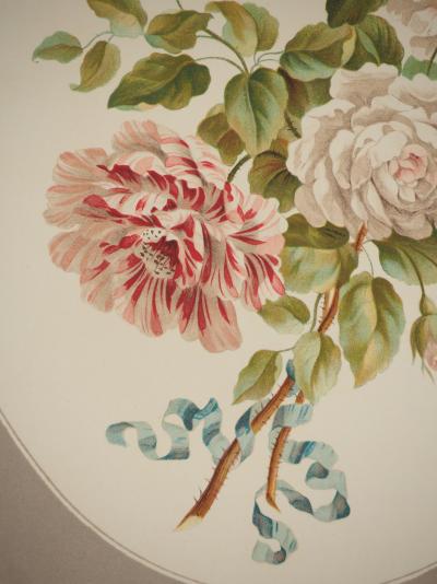 John EDWARDS : Fleurs et Bouquets, Les roses anciennes, Lithographie signée 2