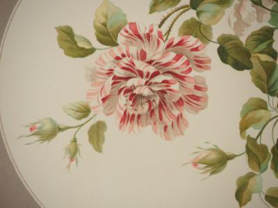 John EDWARDS : Fleurs et Bouquets, Les roses anciennes, Lithographie signée 2