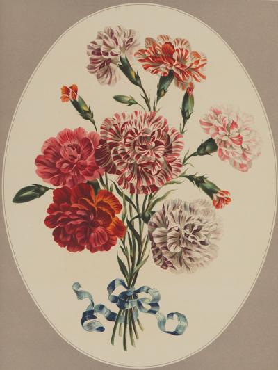 John EDWARDS : Fleurs et Bouquets, Les œillets du fleuriste, Lithographie signée 2