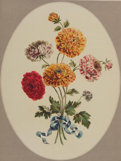 John EDWARDS : Fleurs et Bouquets, Les Renoncules asiatiques, Lithographie signée 2