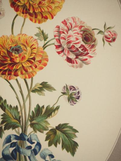 John EDWARDS : Fleurs et Bouquets, Les Renoncules asiatiques, Lithographie signée 2