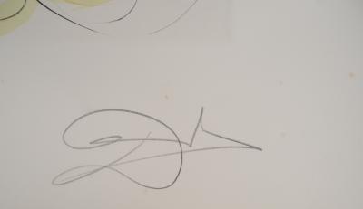 Salvador DALI : Le Bestiaire de La Fontaine, Le cheval et la mouche, Gravure originale signée 2