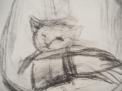 Pierre-Auguste RENOIR : Petite fille au chat, Héliogravure 2