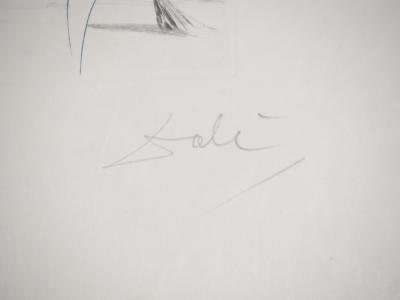 Salvador DALI : Mesure pour mesure, Gravure originale signée 2