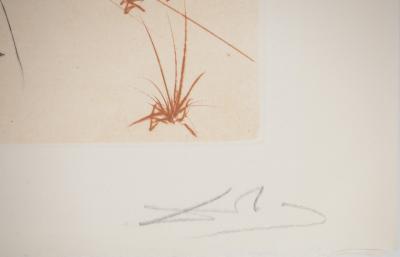 Salvador DALI : Don Quichotte et les moulins à vent, Gravure originale signée 2