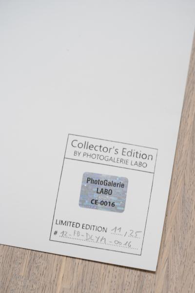 Dorothea LANGE - Jeune Mère Migratrice, 2012, tirage gélatino-argentique tamponné et numéroté 2