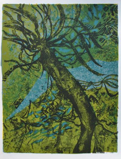 Luc SIMON : Magnifique Afrique, Ensemble de 6 Lithographies originales 2